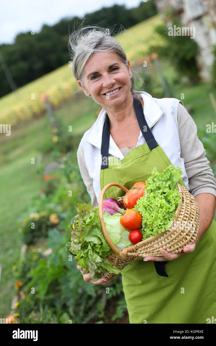 Senior woman holding basket of fresh vegetables Stock Photo - Alamy
