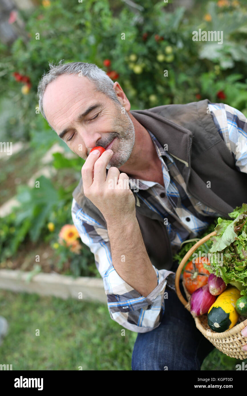 Mature man in garden smelling vegetable's aromas Stock Photo Alamy