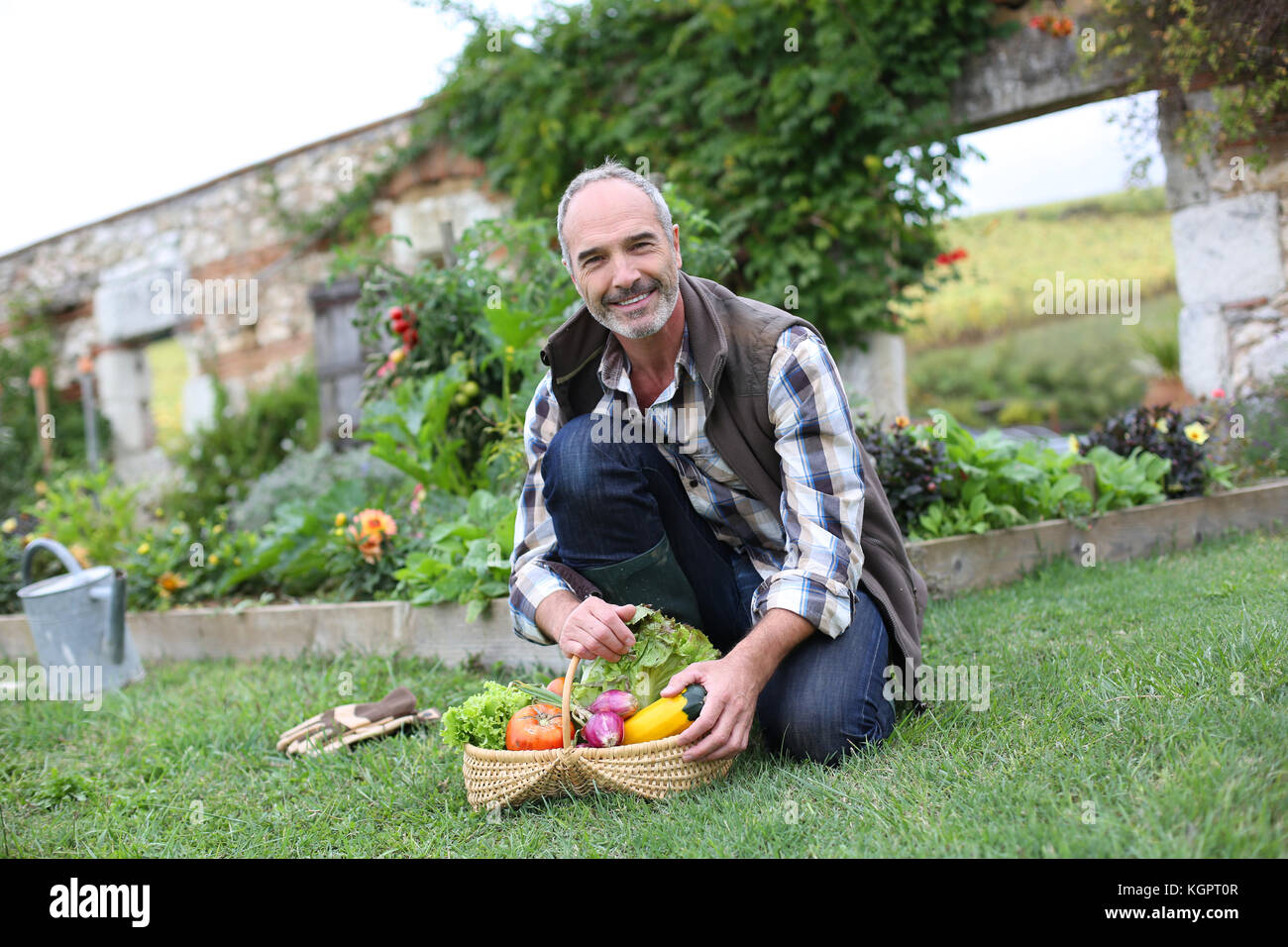 Smiling mature man holding basket of fresh vegetables Stock Photo - Alamy