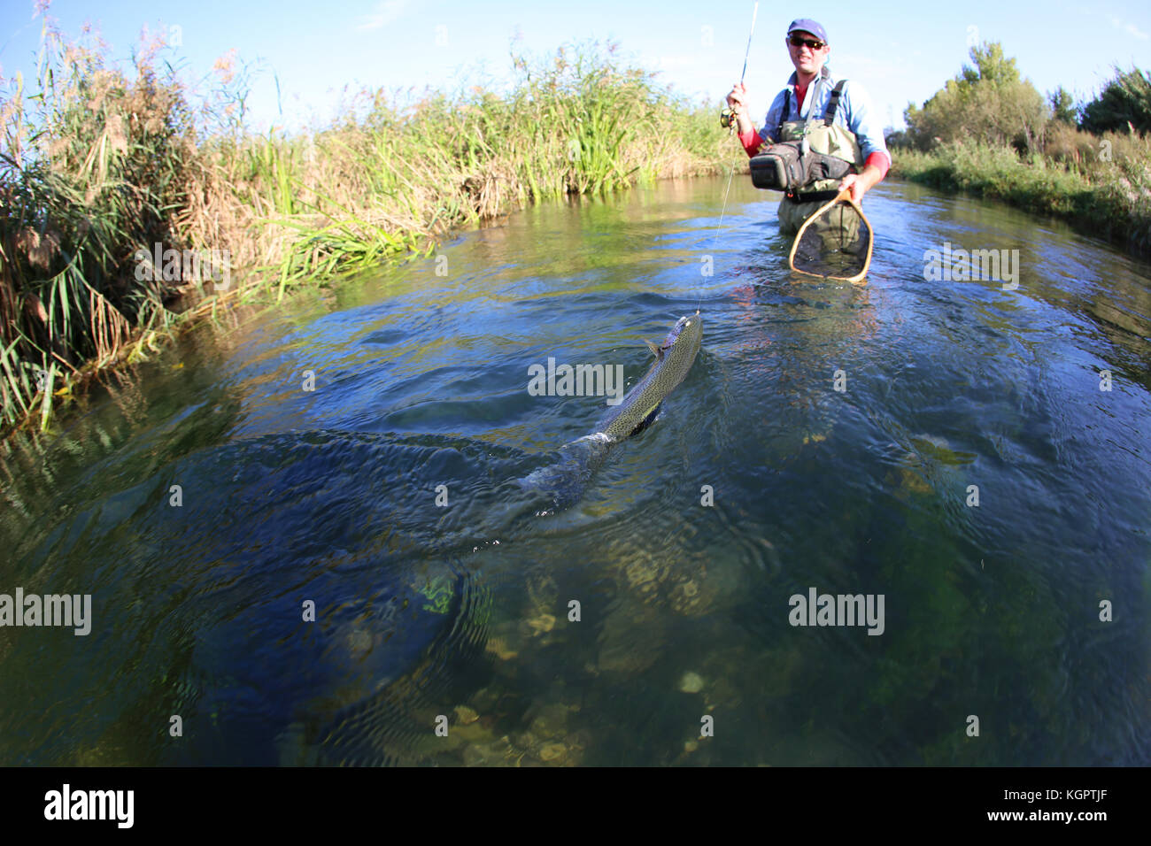 Fly fisherman catching rainbow fish Stock Photo Alamy