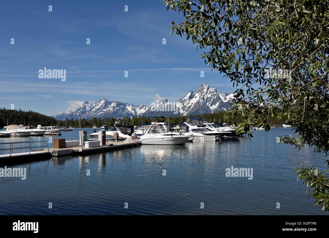 WY02557-00...WYOMING - The Teton Range is a scenic backdrop to the Colter Bay Marina on Jackson Lake in Grand Teton National Park. Stock Photo