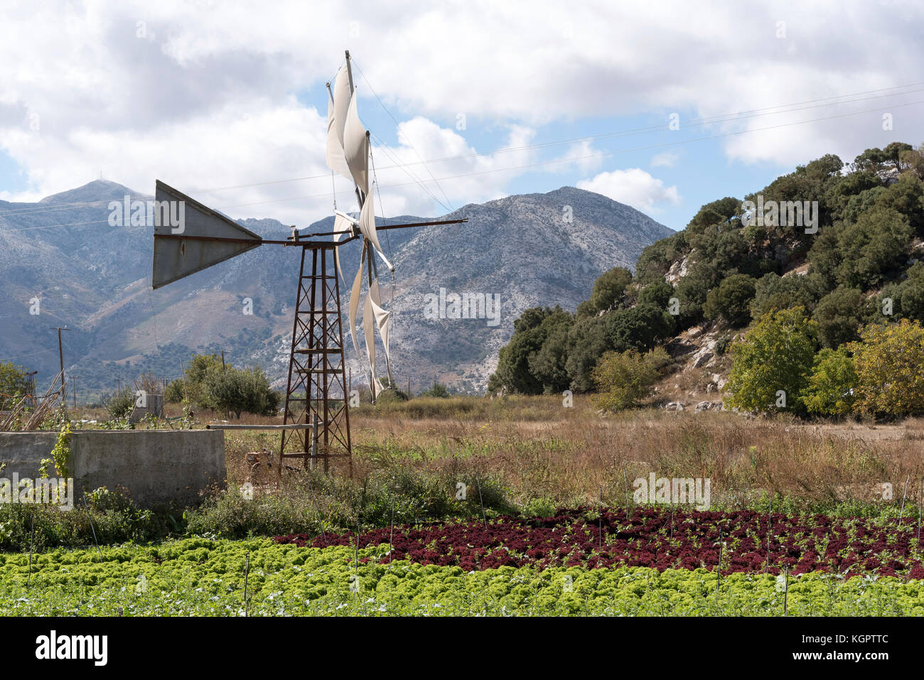 Lasithi plateau, Lasithi, Crete, Greece, October 2017. Windmill pumping