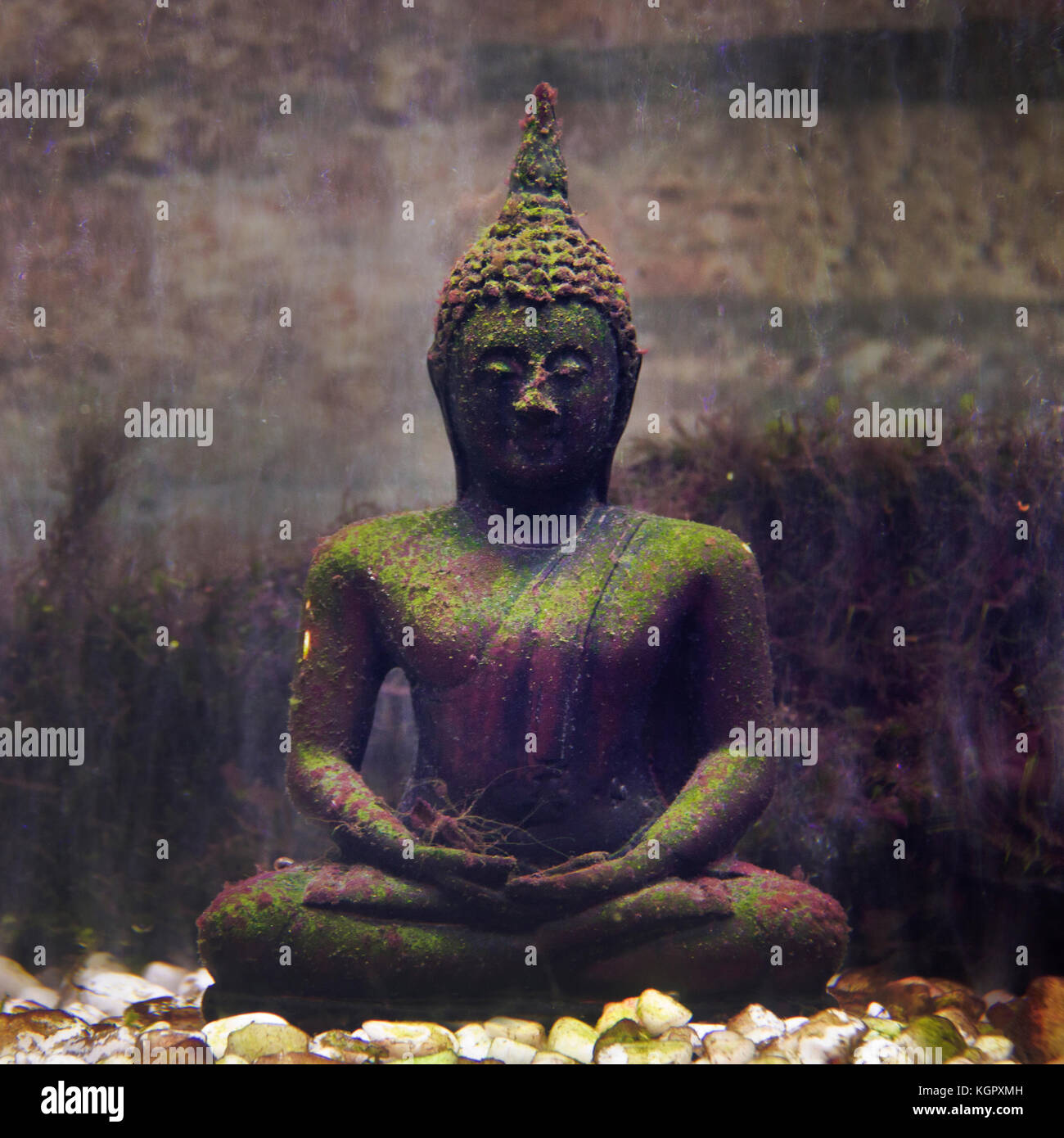Antique Buddha statue underwater Stock Photo Alamy