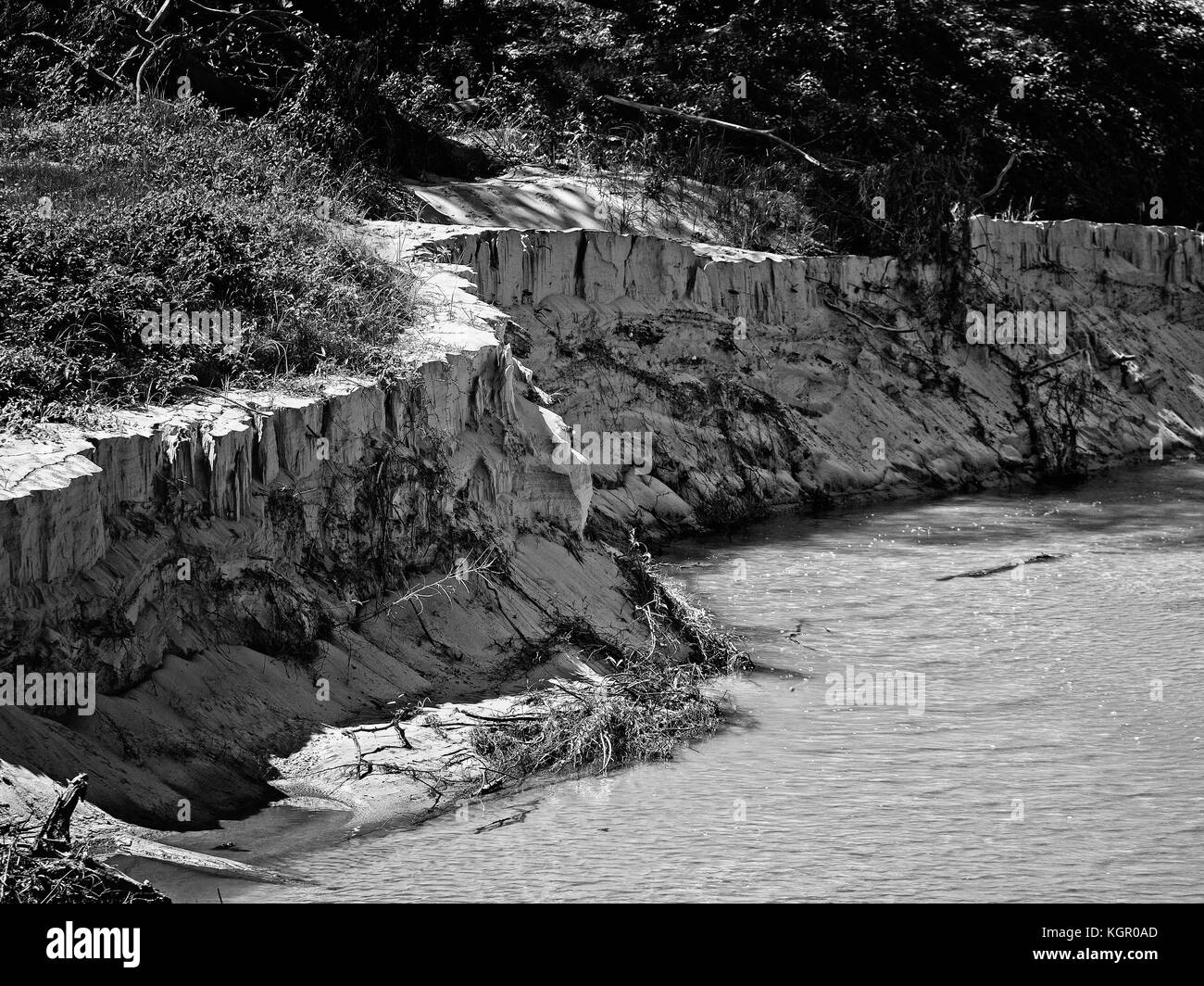 Houston TX USA Oct 17, 2017 Sandy Creek Shoreline After Major Flood