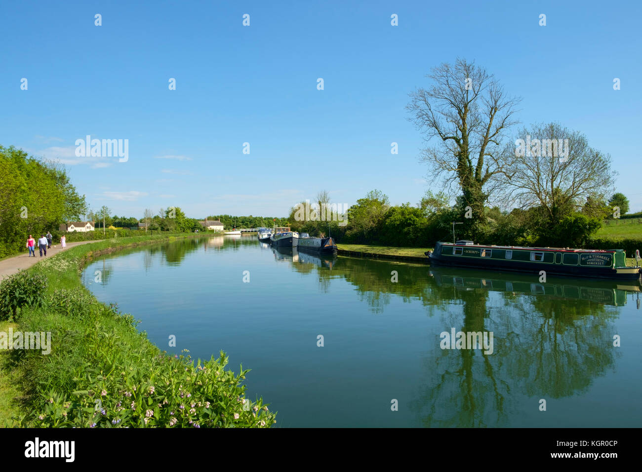 Boat moorings and people walking the towpath of the tranquil Gloucester & Sharpness Canal at Purton in summer sunshine, Gloucestershire, UK Stock Photo