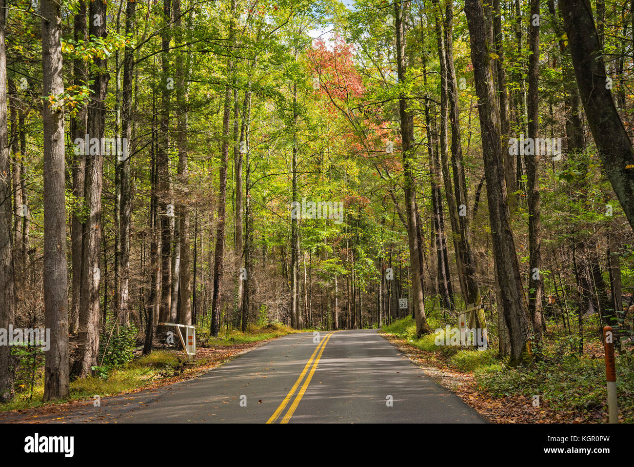 Fall Color in the Great Smoky Mountain National Park. Stock Photo