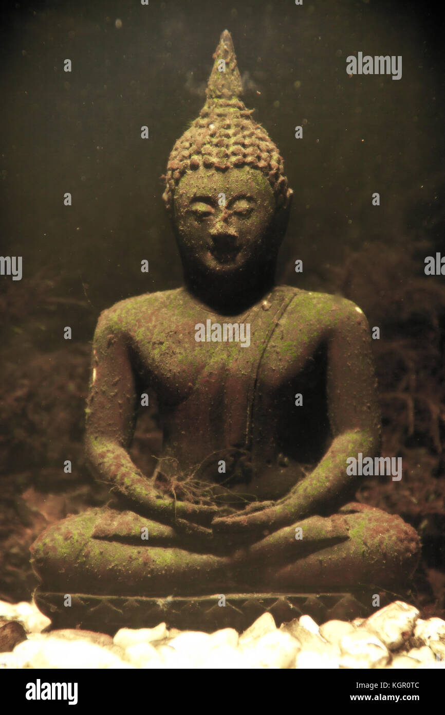 Antique Buddha statue underwater Stock Photo Alamy