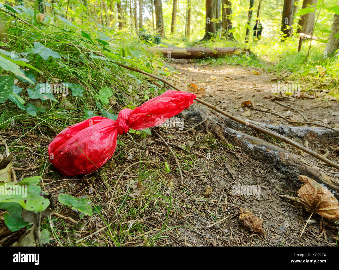 A red bag lies on the roadside in the forest Stock Photo Alamy