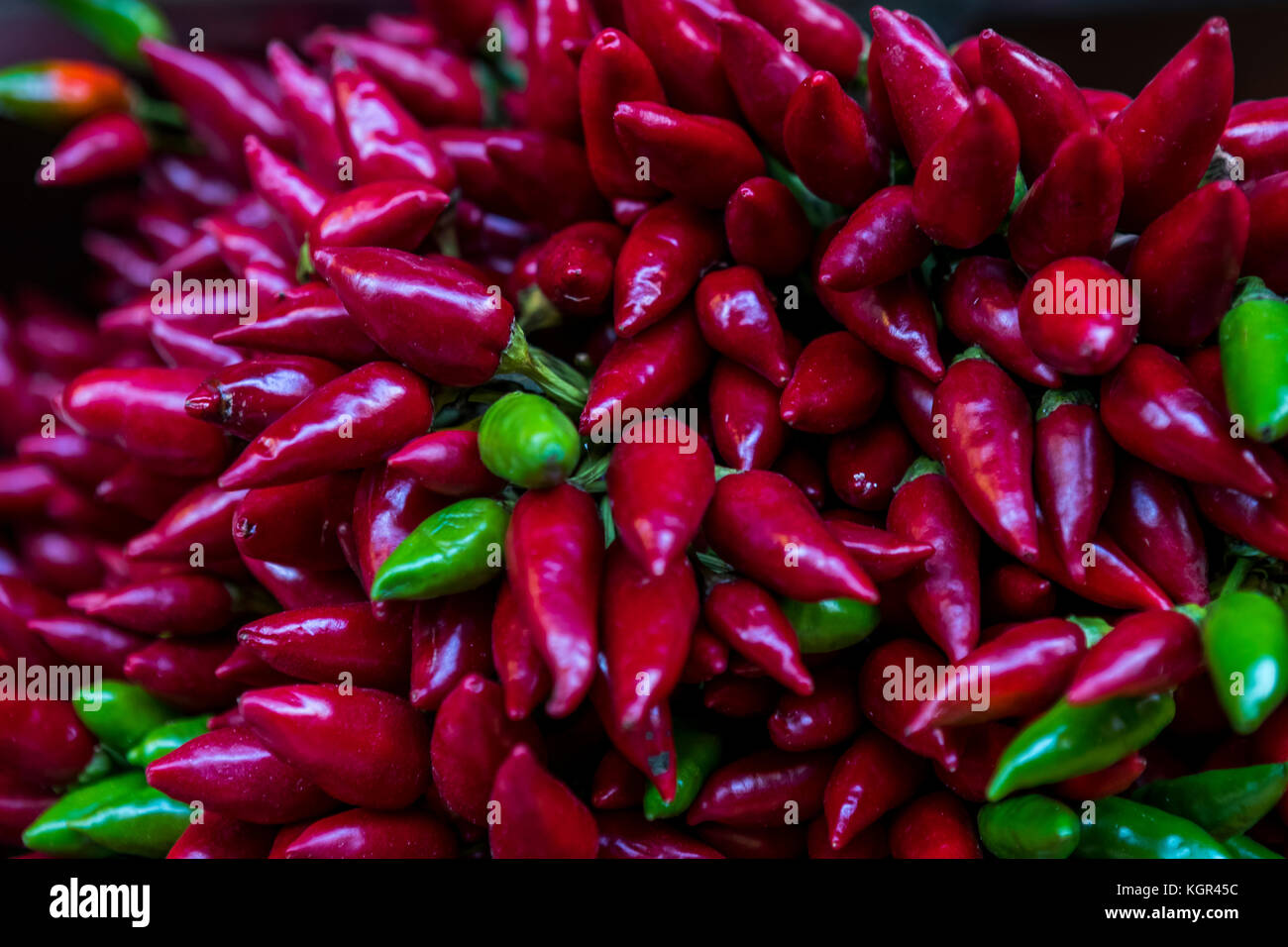 ditta bardelli frutta e verdura