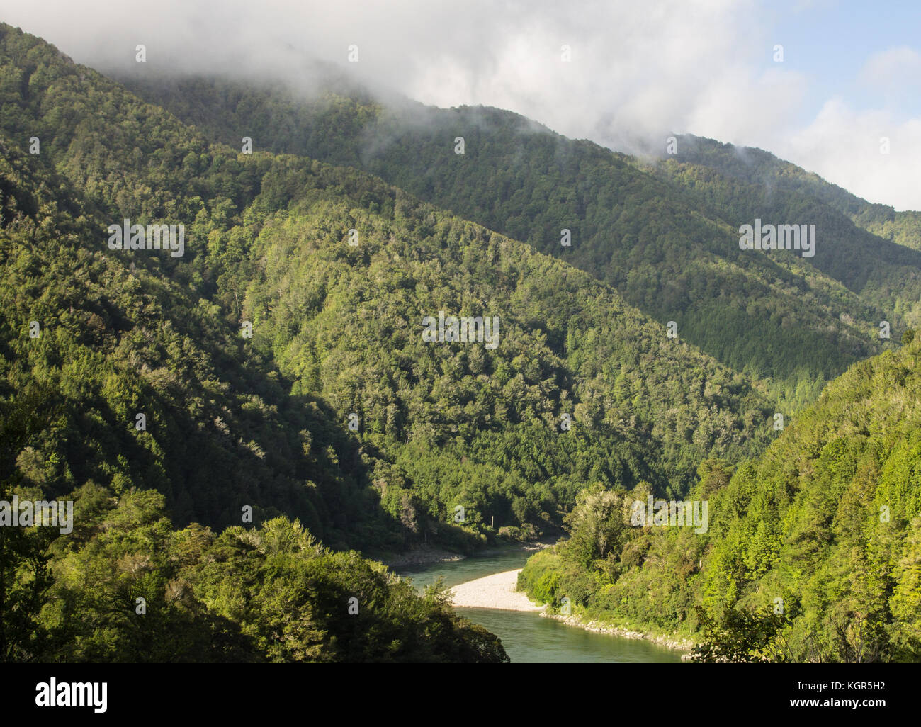 Nelson lakes park in the South Island New Zealand Stock Photo - Alamy