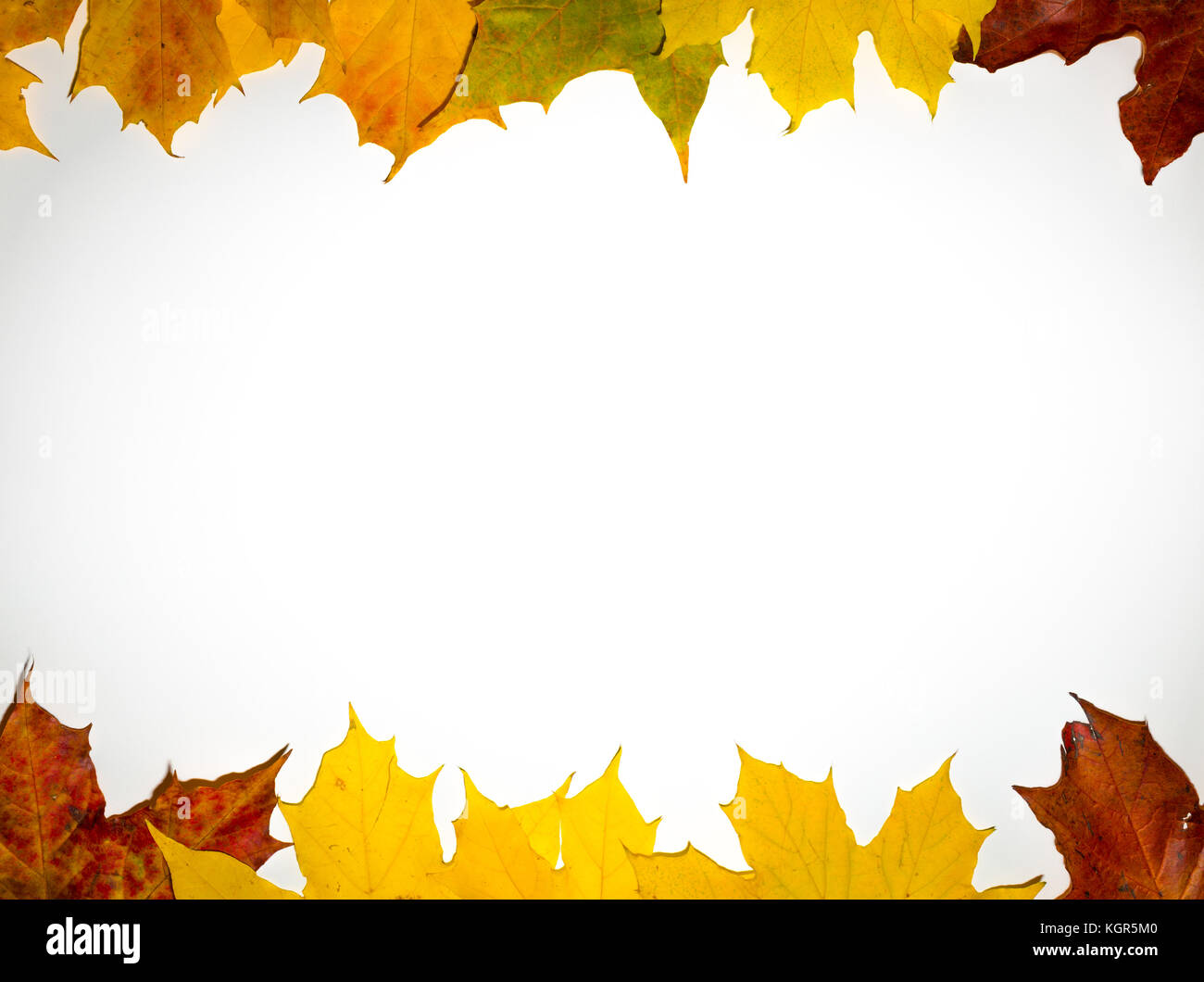 Autumn backdrop - frame composed of colorful autumn leaves over white ...