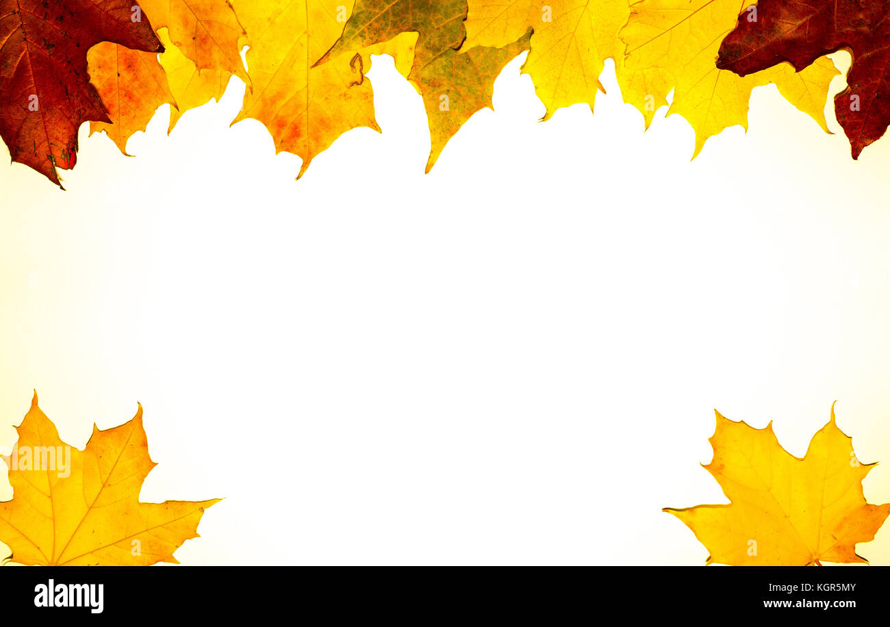 Frame composed of colorful autumn leaves Stock Photo - Alamy