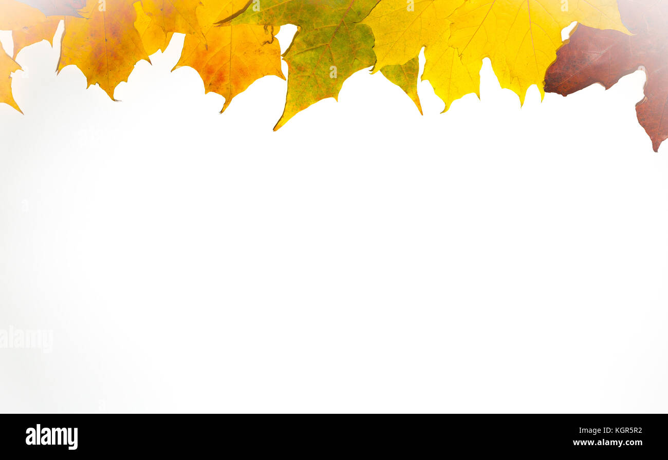 Border framewith vignette of colorful autumn leaves isolated on white Stock Photo