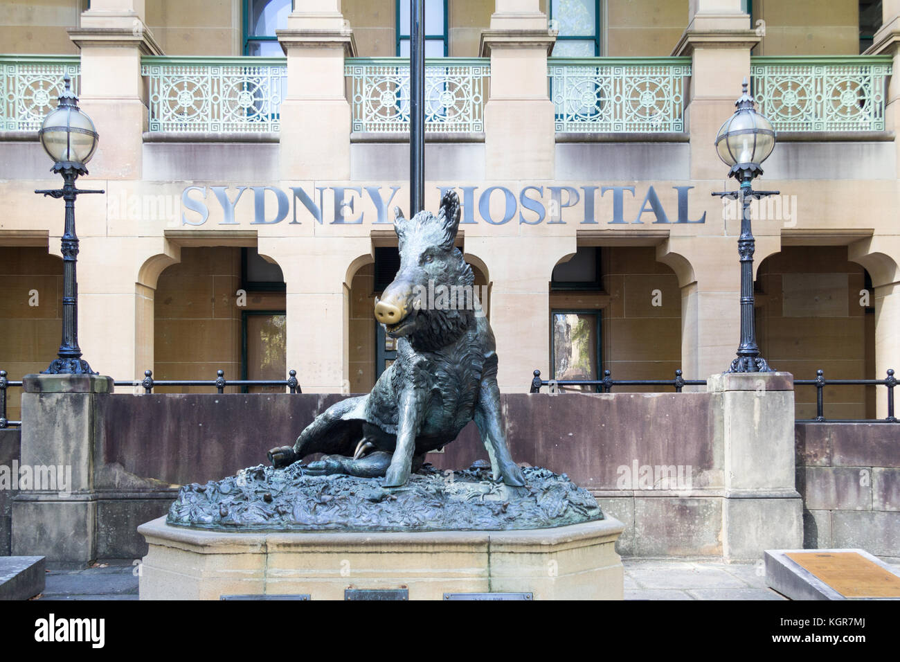 Hog Statue outside Sydney Hospital, Sydney, NSW, New South Wales