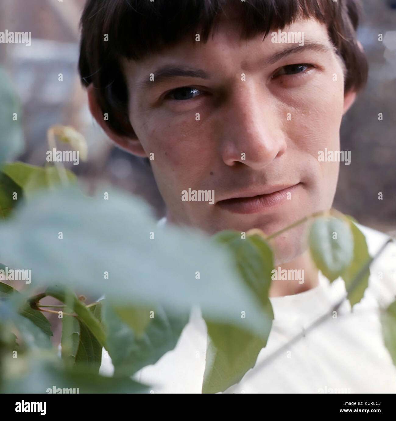 DAVE BERRY English pop singer in 1965. Photo: Tony Gale Stock Photo