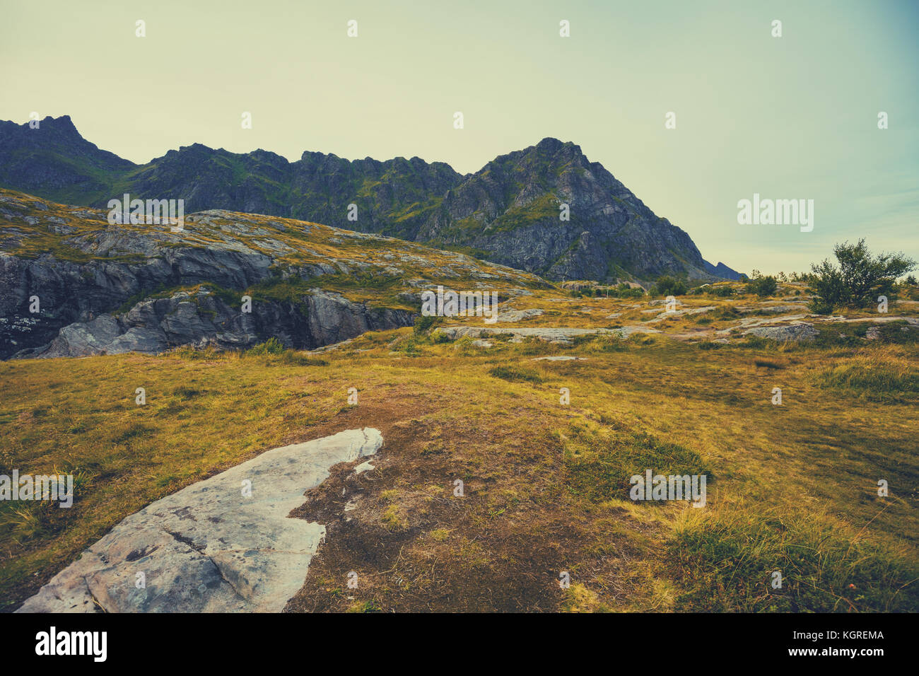 Mountain north landscape. Beautiful wilderness, view of the fjord. Lofoten islands, Norway. Stock Photo