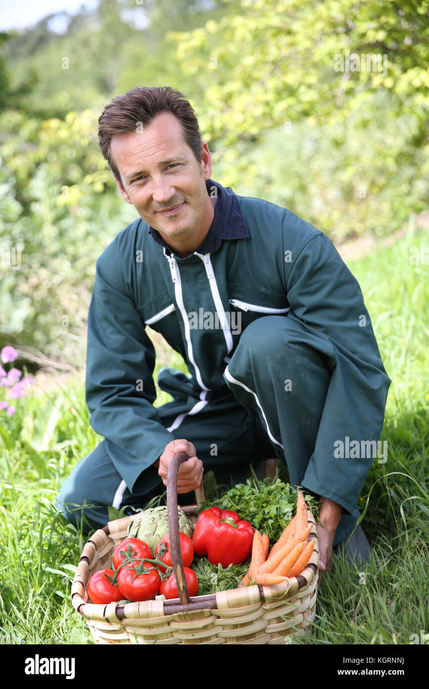 Farmer in garden holding basket of fresh vegetables Stock Photo - Alamy