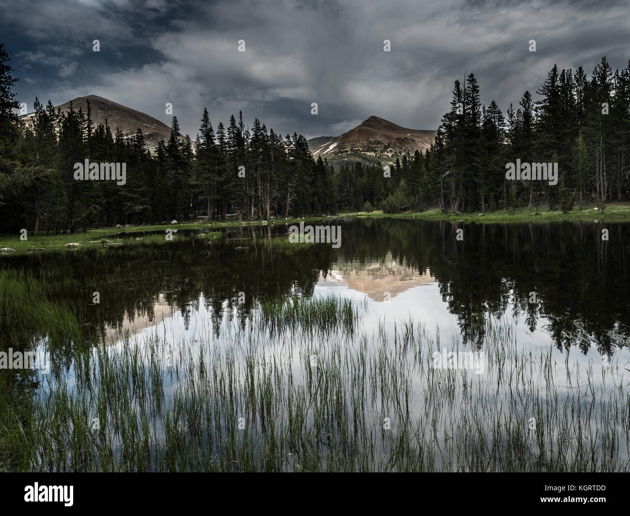 Mountains and Trees Reflected in a Lake in Tuolumne Meadows in Yosemite National Park in California, United States Stock Photo