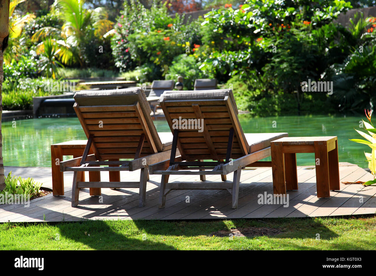 View of pool deck chairs in luxury resort gardens Stock Photo Alamy
