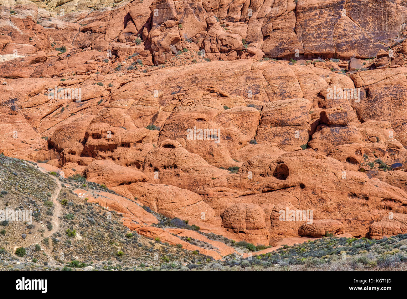 Geologic rock formations in Red Rock Canyon National Conservation Area