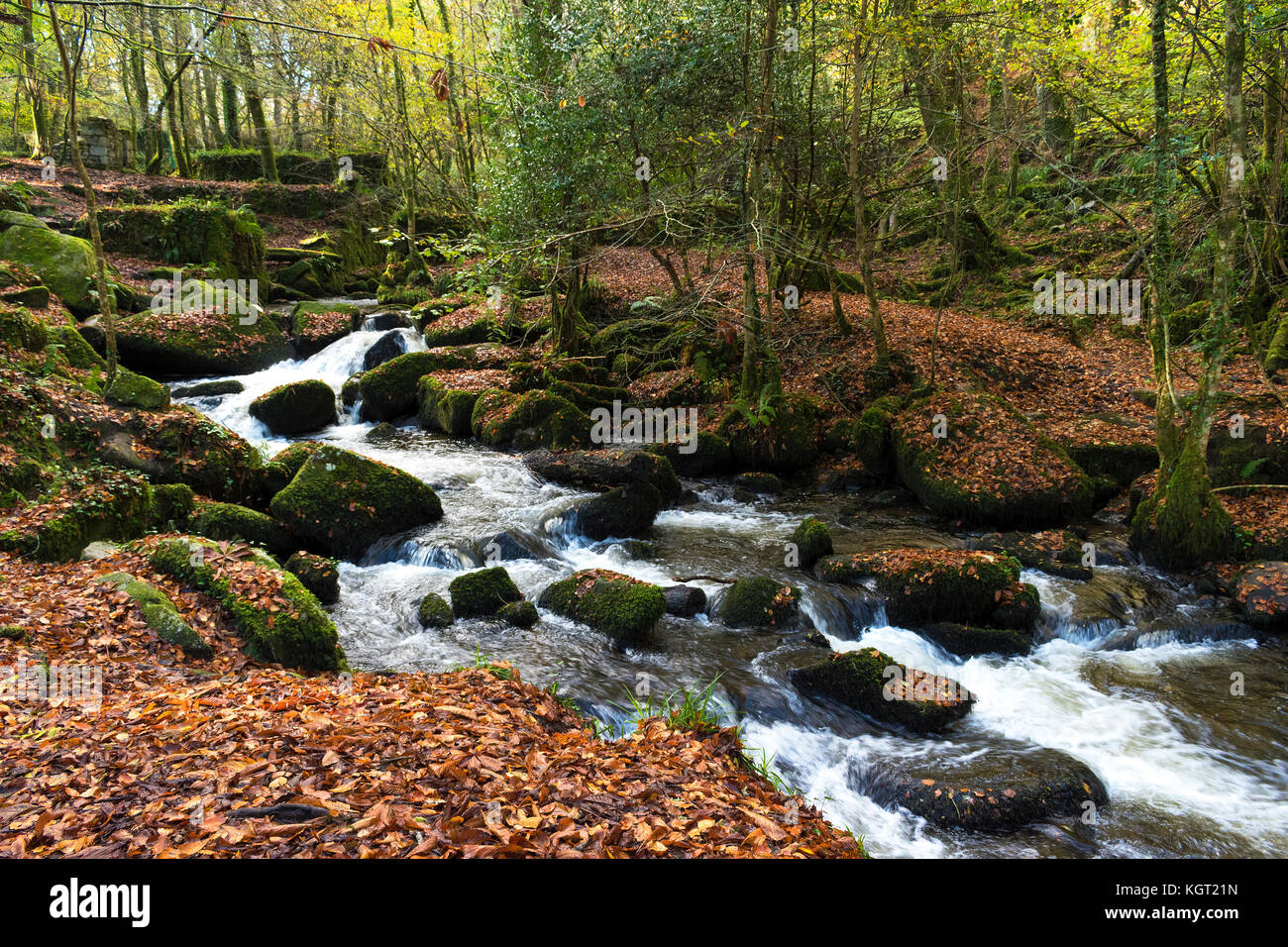 the river kennall running through kennall vale at ponsanooth in cornwall, england, uk. Stock Photo