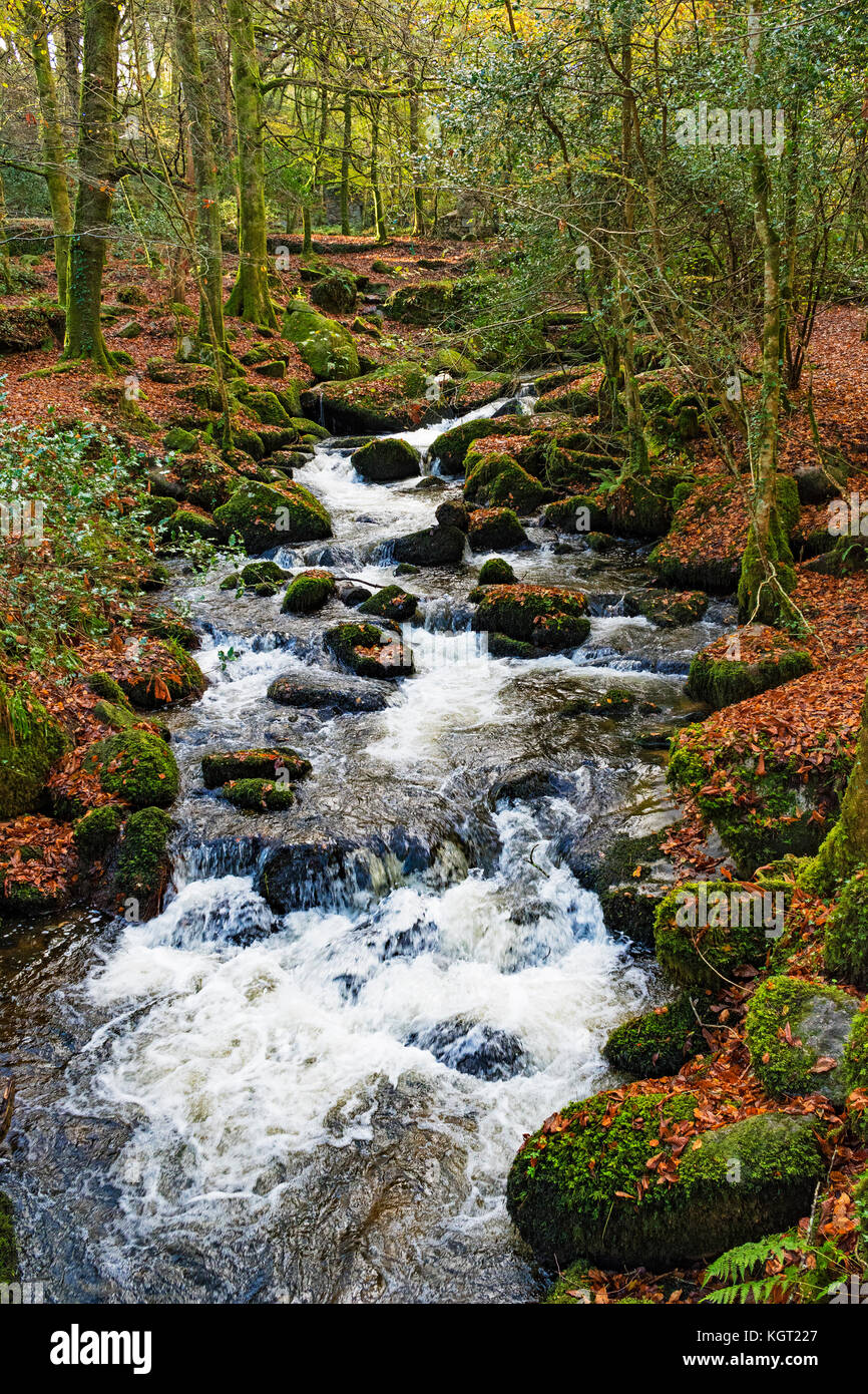 the river kennall running through kennall vale at ponsanooth in cornwall, england, uk. Stock Photo