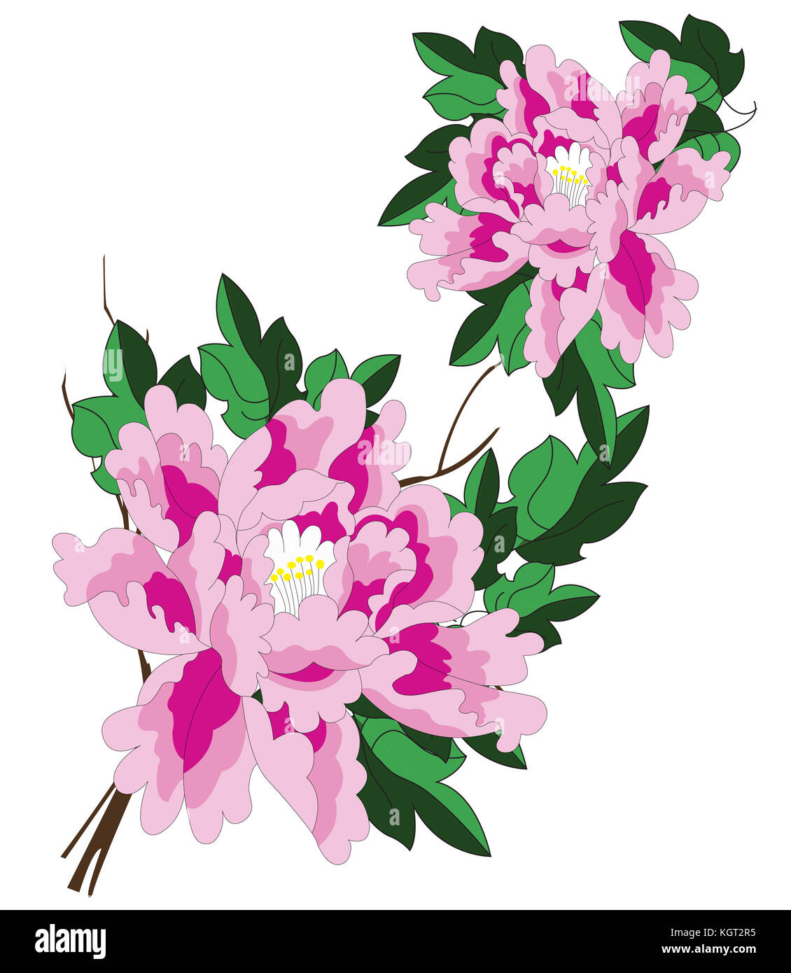 illustration of peonies Stock Photo - Alamy