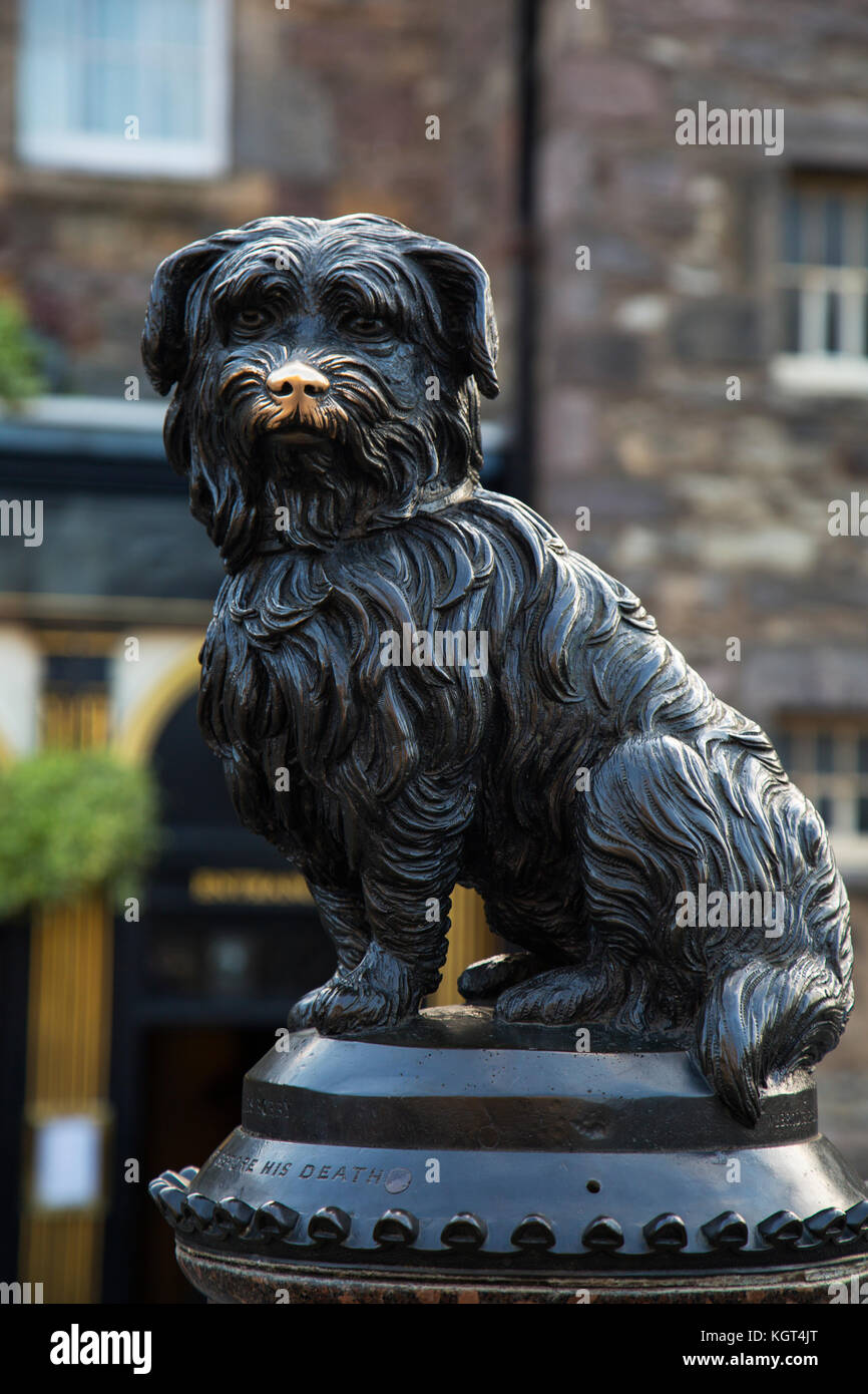 Black and white skye terrier hires stock photography and images Alamy