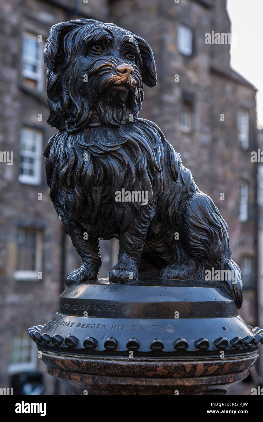 Bronze statue of famous scottish dog in Edinburgh, people rub its nose for  luck Stock Photo - Alamy