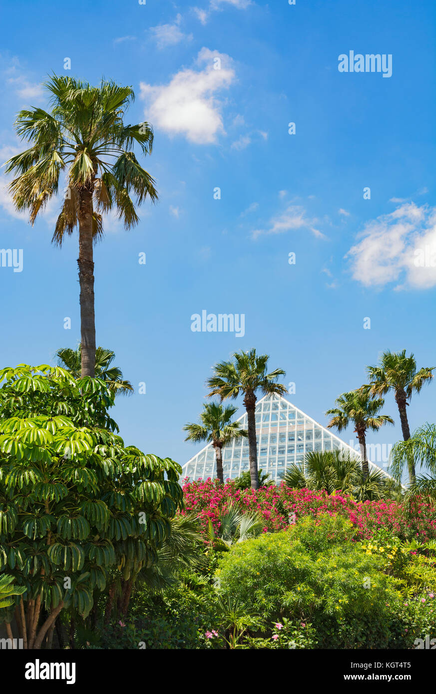 Texas, Galveston, Moody Gardens, Rainforest Pyramid Stock Photo Alamy