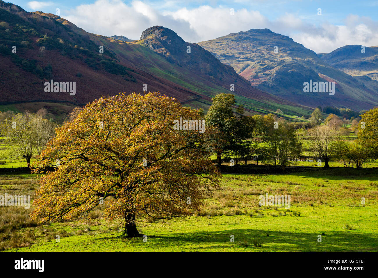 Great Langdale, Lake District, Cumbria, England Stock Photo