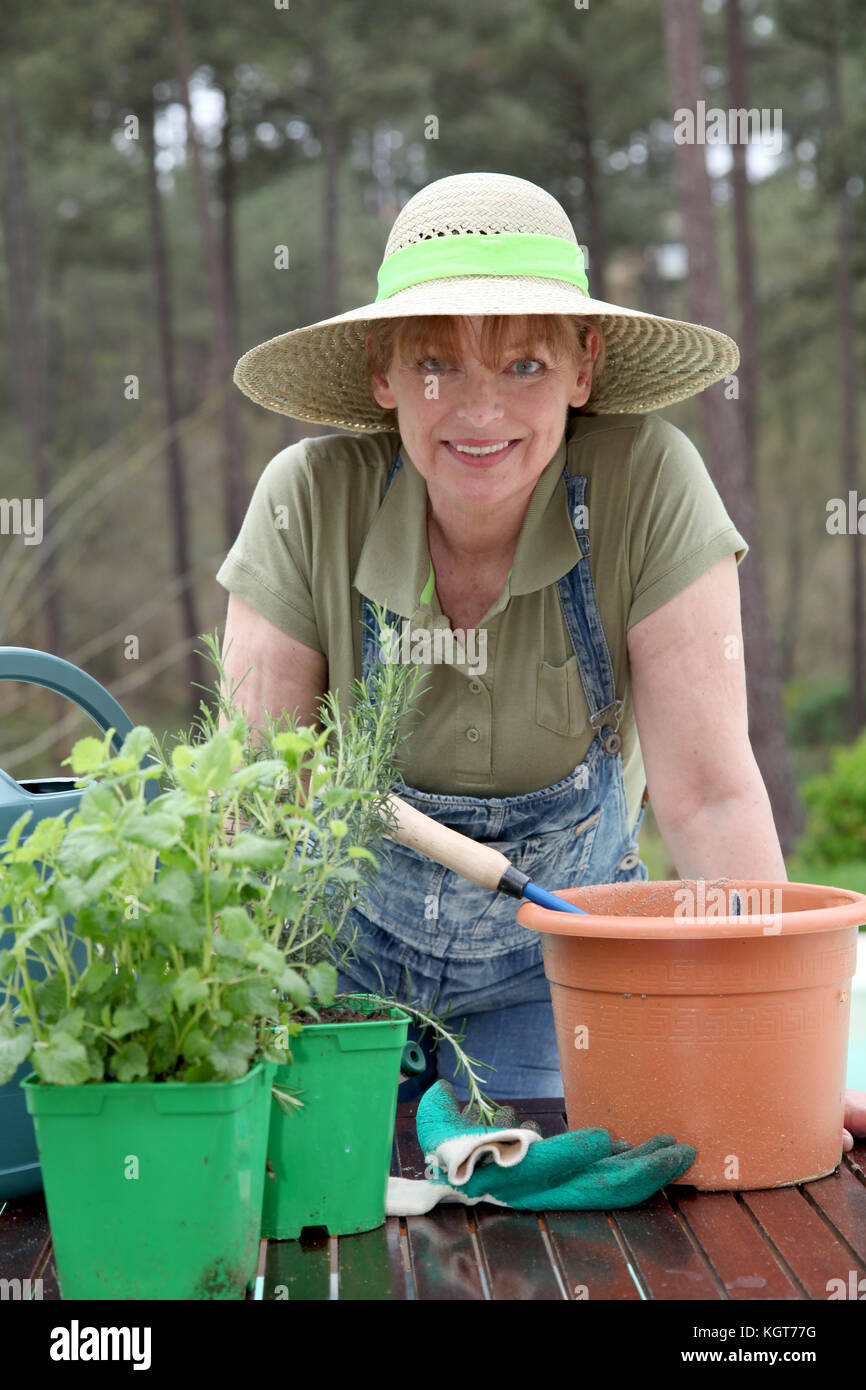 Senior woman gardening in spring time Stock Photo - Alamy