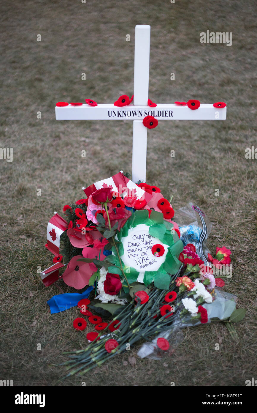 Field of Crosses memorial for fallen soldiers on Remembrance Day Stock Photo