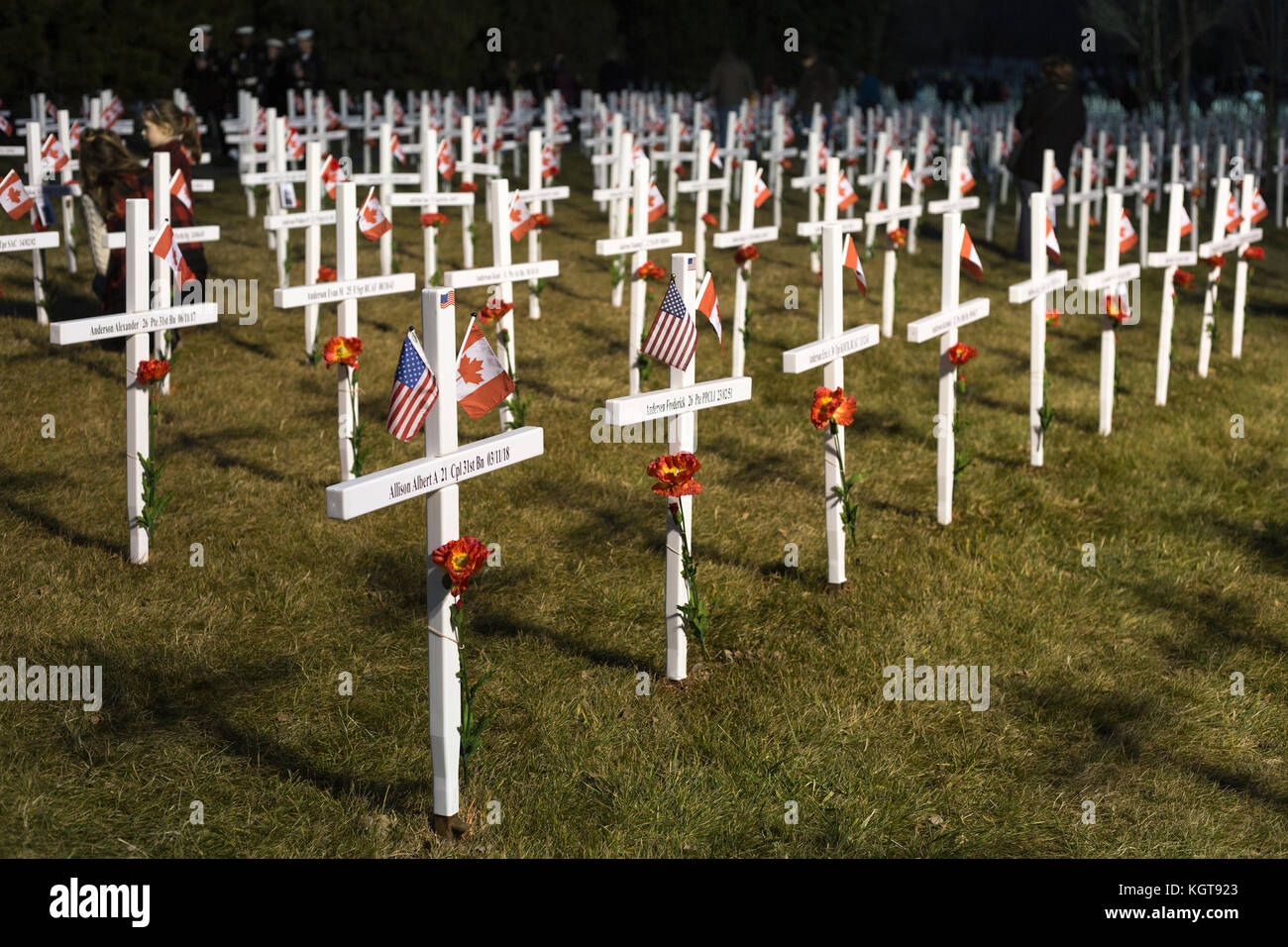 Field of Crosses memorial for fallen soldiers on Remembrance Day, with Canadian and American flags Stock Photo