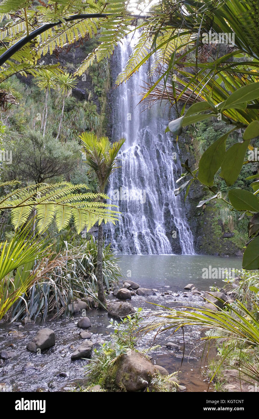 Near Waitakere Ranges High Resolution Stock Photography and Images - Alamy