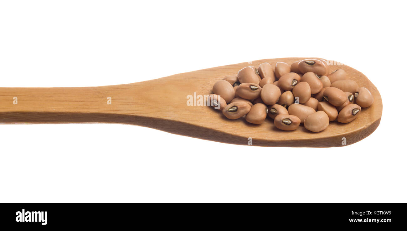 Vigna unguiculata is scientific name of Cowpea legume. Also known as