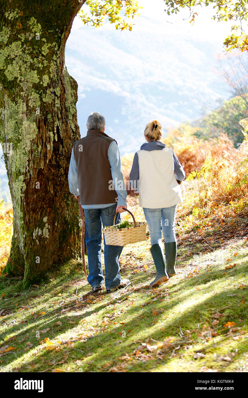 Back view of senior couple walking in forest Stock Photo - Alamy