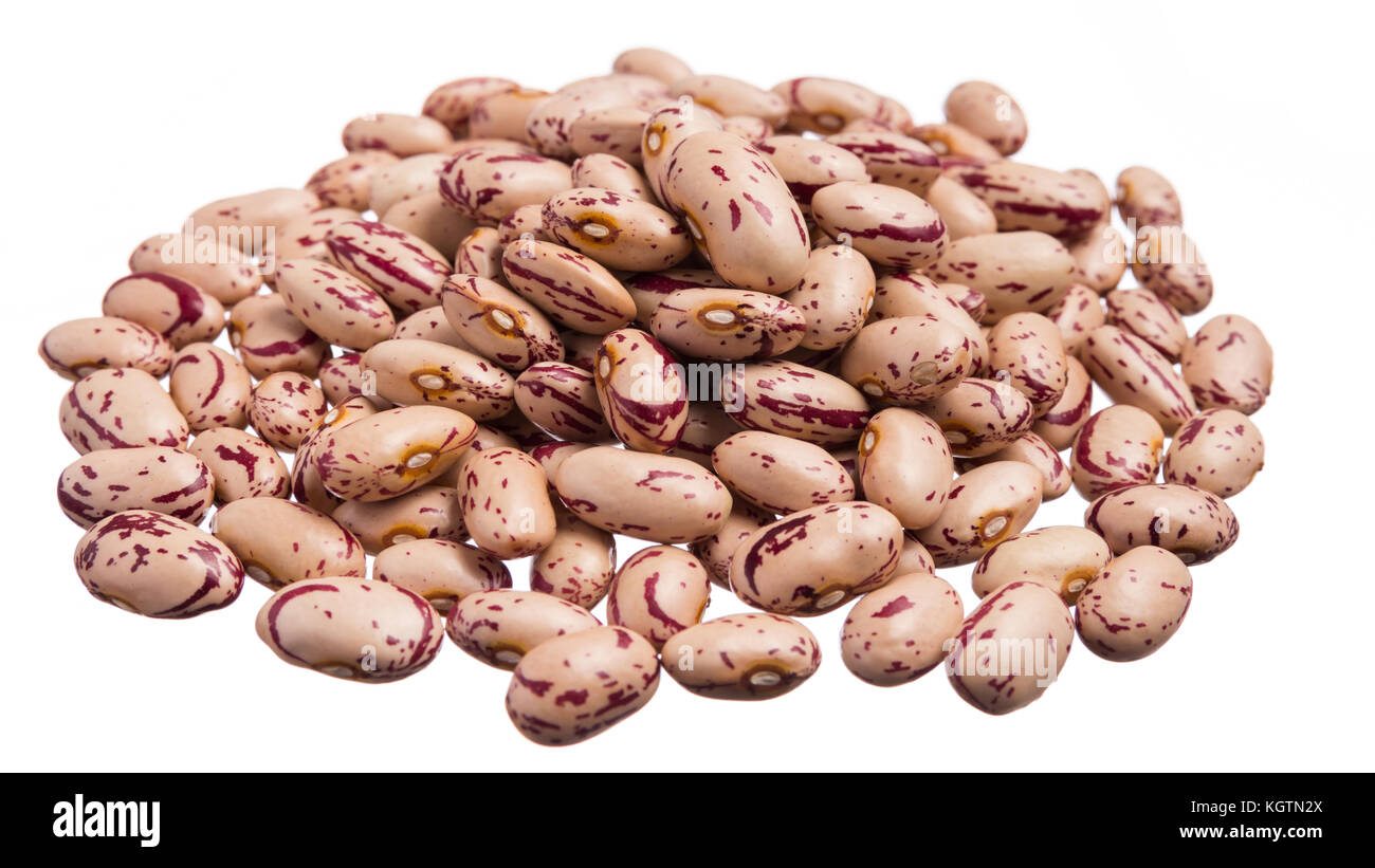 Pinto beans рисунок. губка боб и его друзья. спанч боб герои. Sugar bean. герои спанч боба имена.