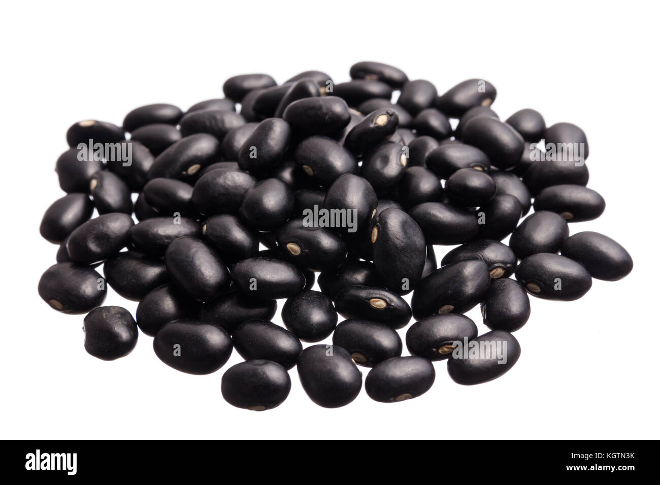 Phaseolus vulgaris is scientific name of Black Turtle Bean legume. Also