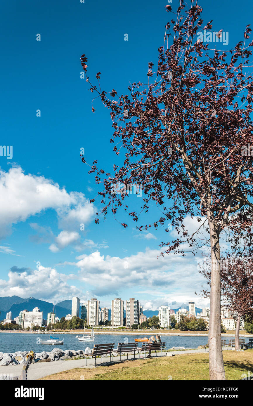 Photo of Kitsilano Beach in Vancouver, Canada Stock Photo Alamy