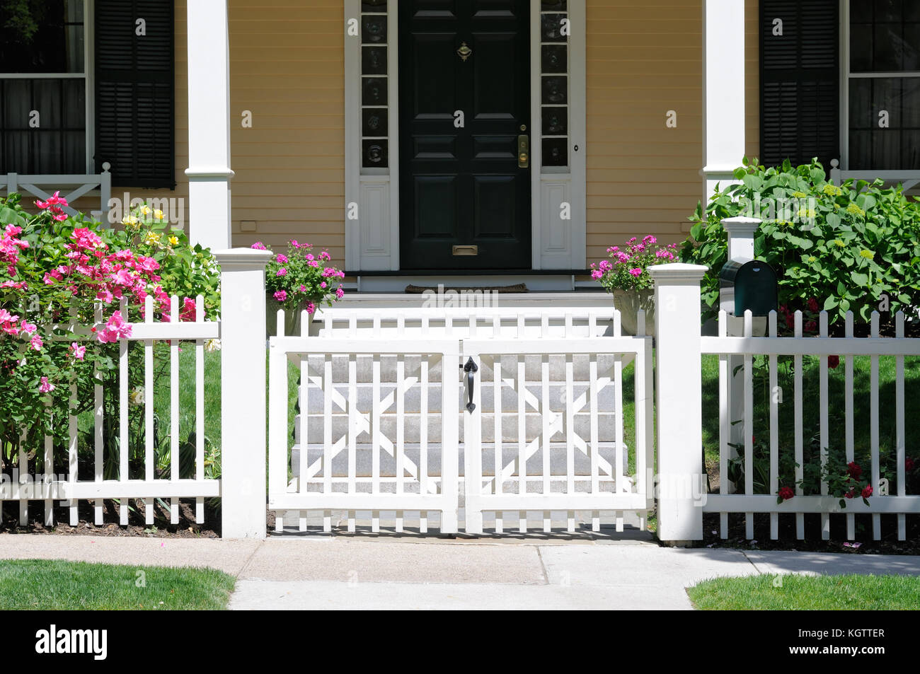White gate and picket fence with climbing roses, frontal view, Porch steps and house facade in background Stock Photo