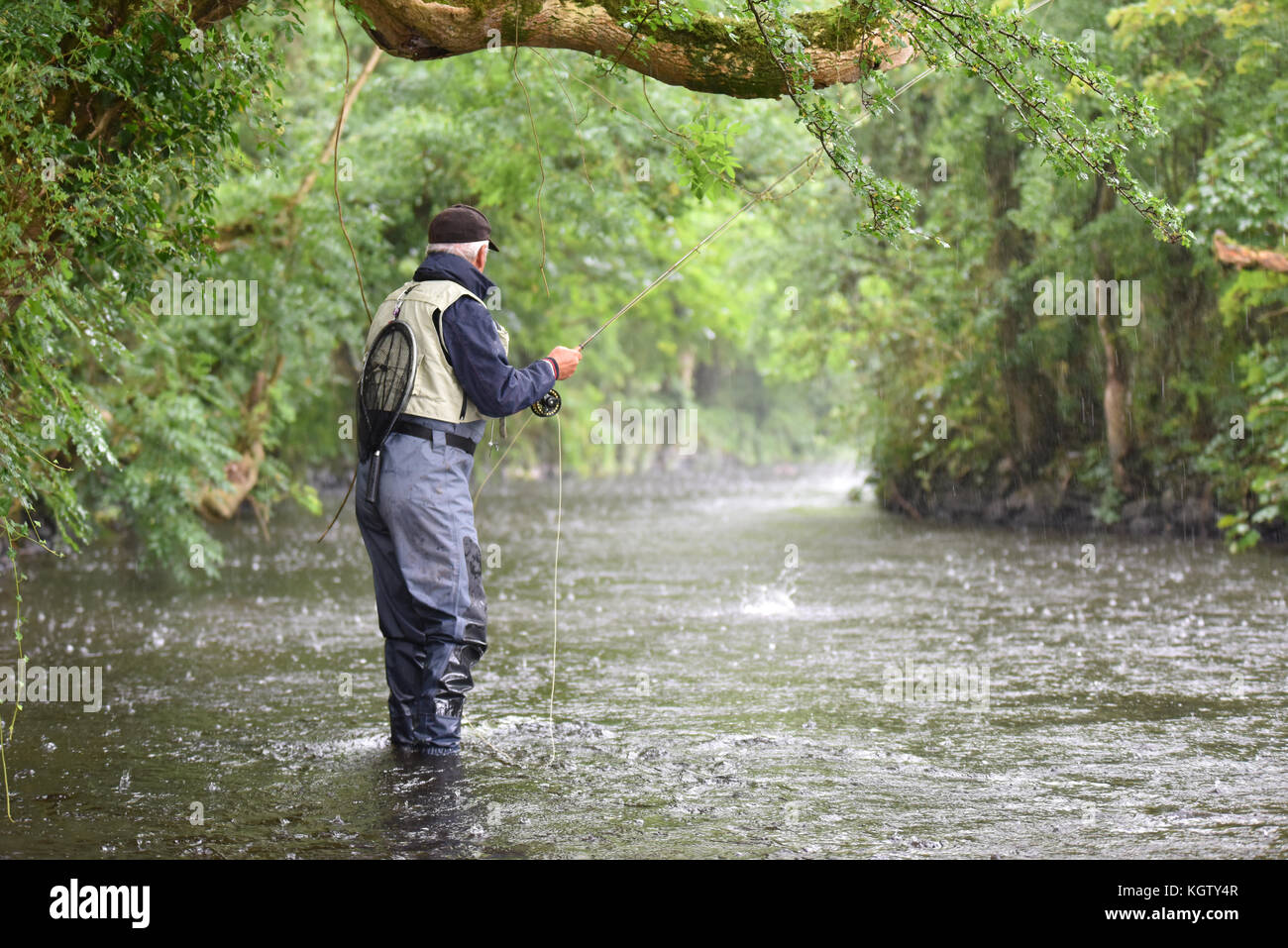 Flyfisherman catching trout in river, under the rain Stock Photo Alamy