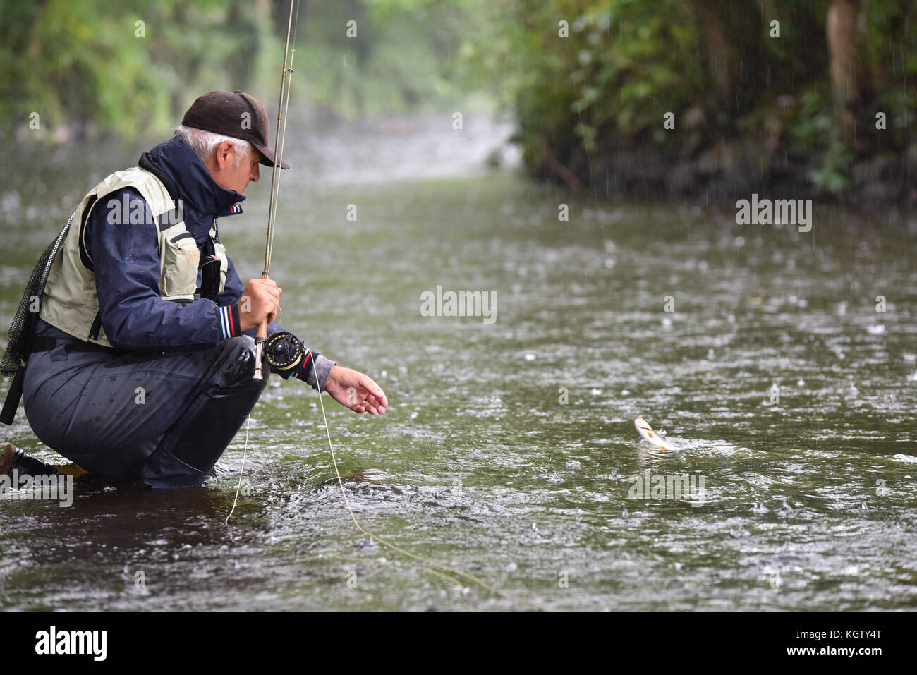 Flyfisherman catching trout in river, under the rain Stock Photo Alamy