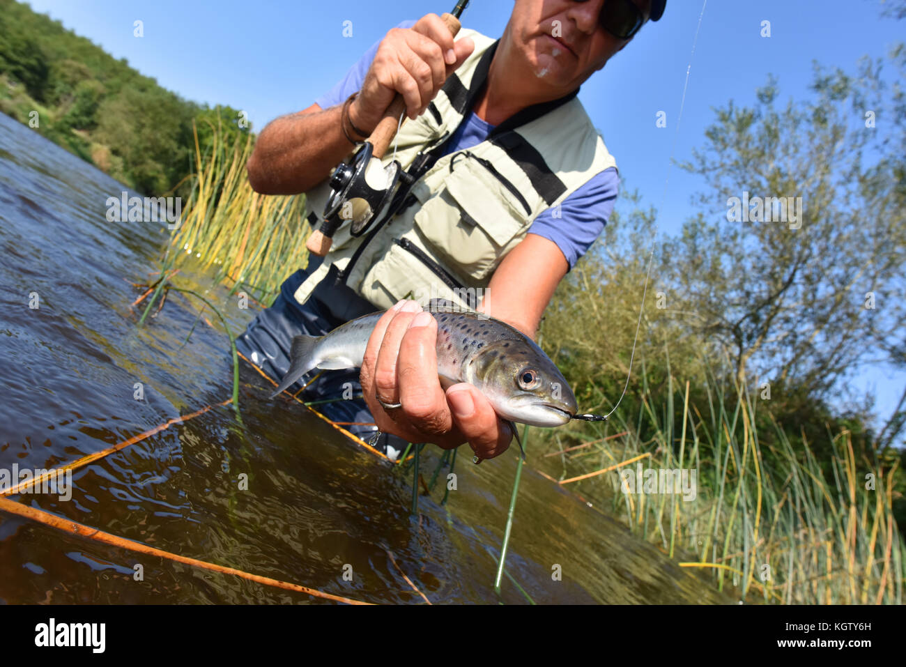 Fly-fisherman catching sea trout in river Stock Photo - Alamy