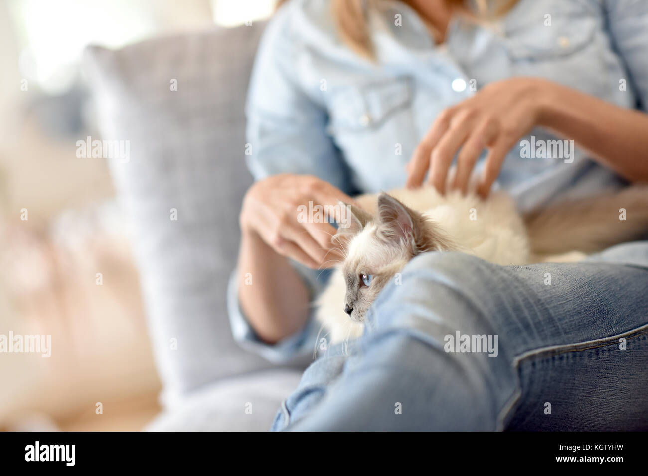 Woman cat on lap hi-res stock photography and images - Alamy