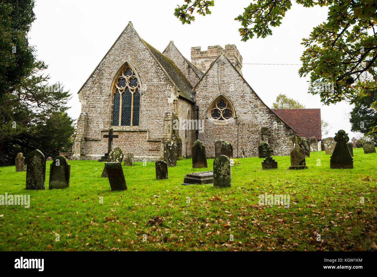 Crowhurst Village Scenes. Church. Yew Tree. Station. Oaks. A lovely