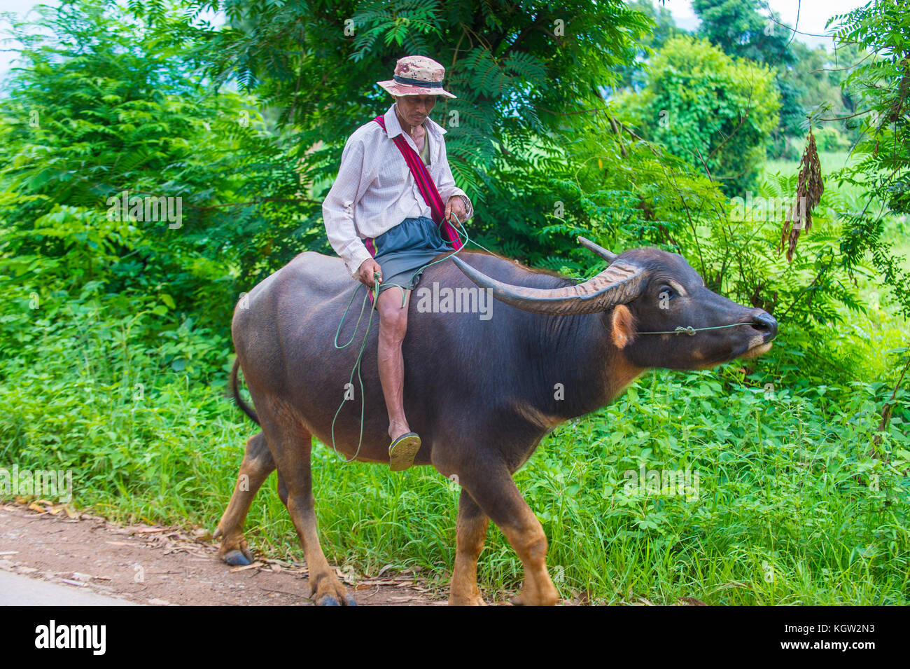 Riding buffalo hi-res stock photography and images - Alamy