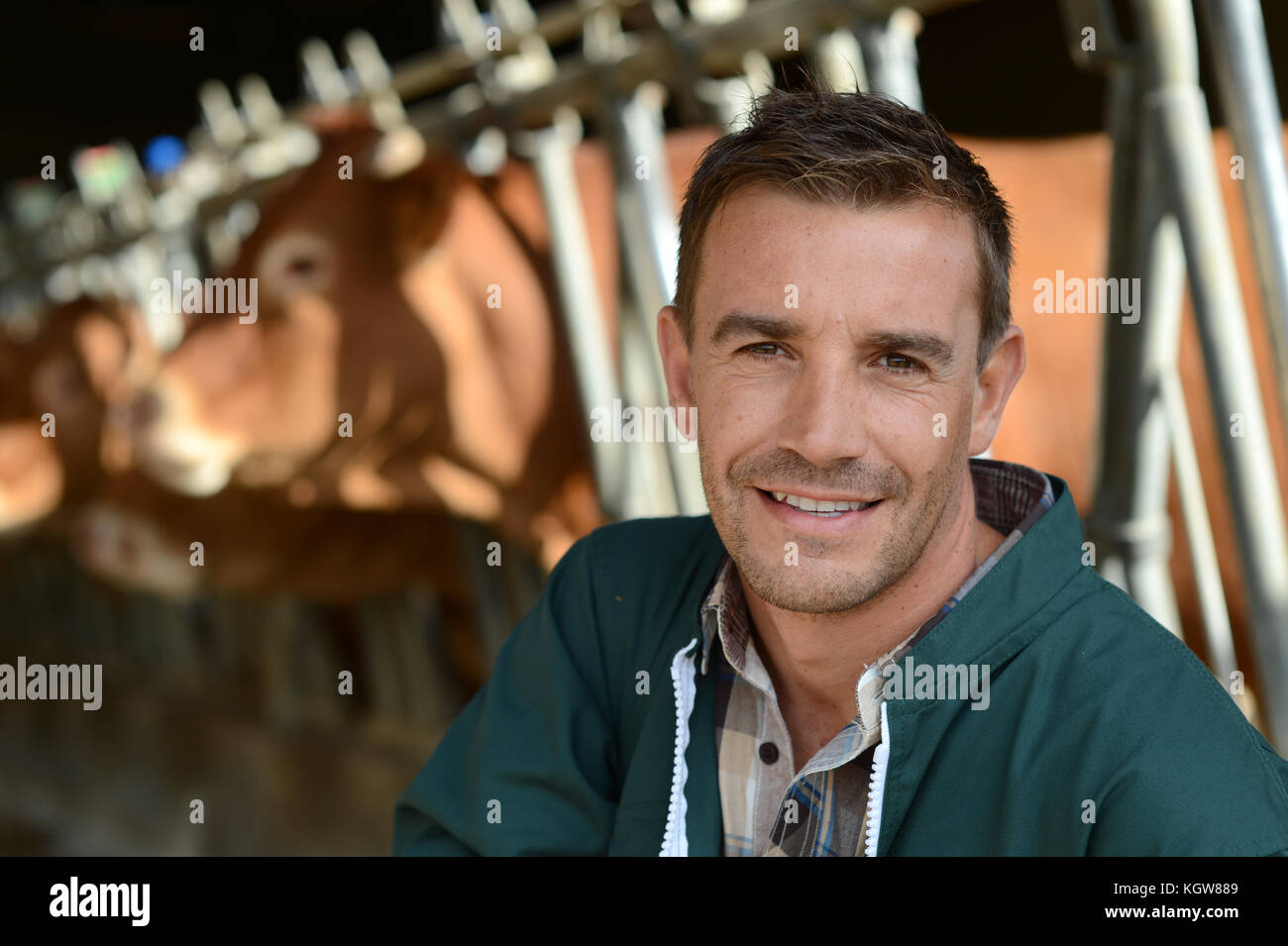Portrait of smiling farmer with cows in background Stock Photo - Alamy