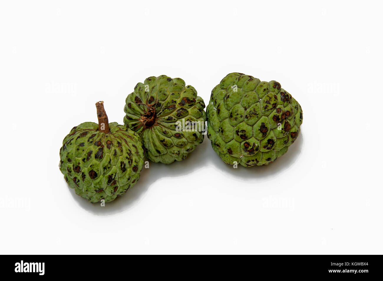 Green, scaly custardapple fruits with long, black seeds covered with sweet, white pulp Stock