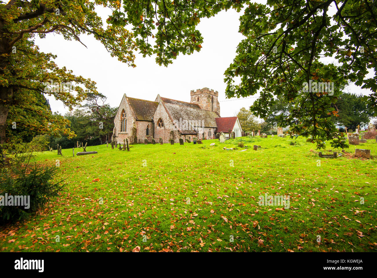 Crowhurst Village Scenes. Church. Yew Tree. Station. Oaks. A lovely
